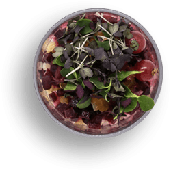 BadApe_Motion_0001_Bildschirmfoto-2022-07-21-um-08.14.14