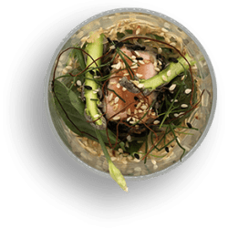 BadApe_Motion_0003_Bildschirmfoto-2022-07-21-um-08.14.24